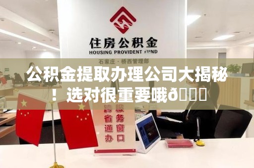 东至公积金提取办理公司大揭秘！选对很重要哦😎